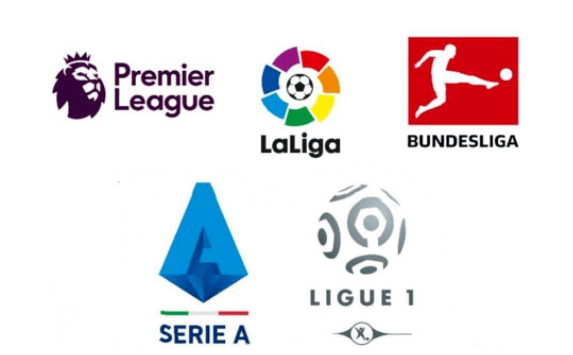 的重要因素 的重要因素