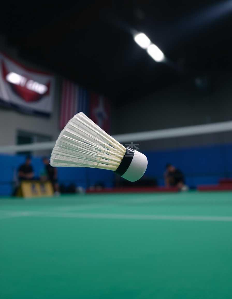 势和挑战 势和挑战